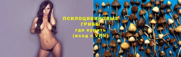 молекула духа Белоозёрский