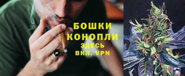 молекула духа Белоозёрский